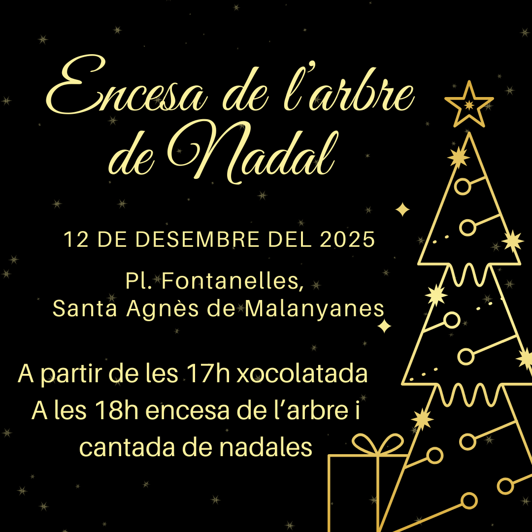 Encesa Arbre de nadal Sta. Agnès