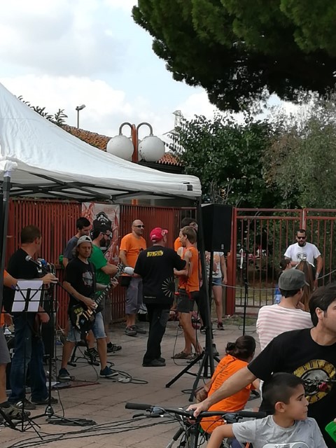 Galeria imatges