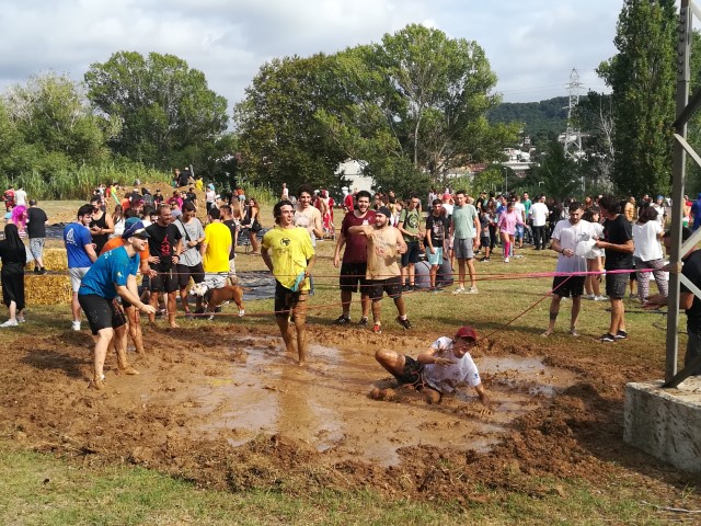 Galeria imatges