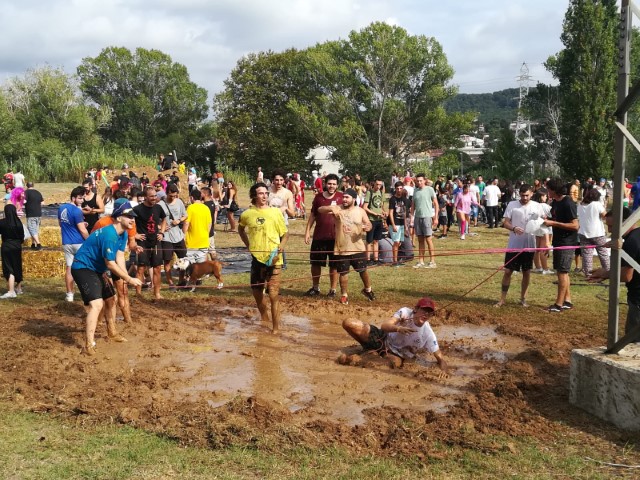 Galeria imatges