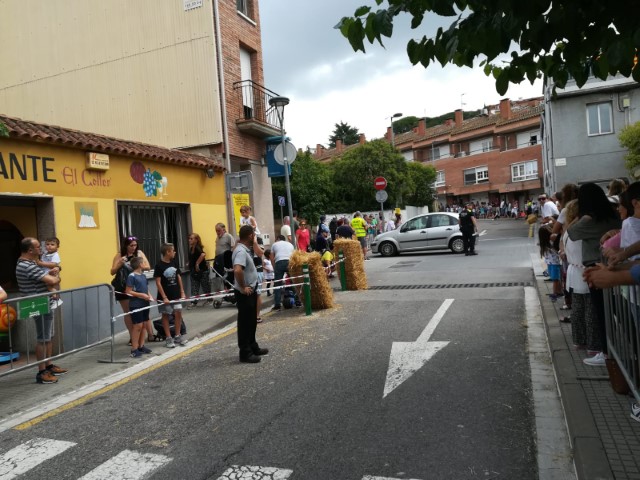 Galeria imatges