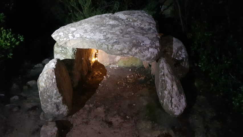Galeria imatges