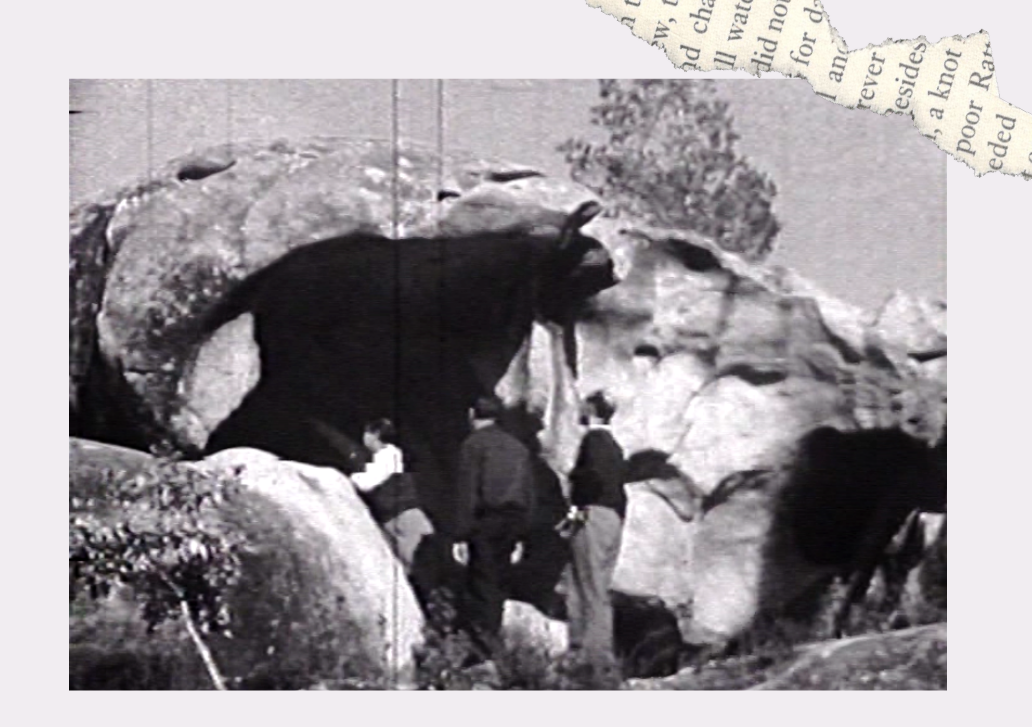 Les stories estaran farcides de preguntes sobre aquest impressionant patrimoni