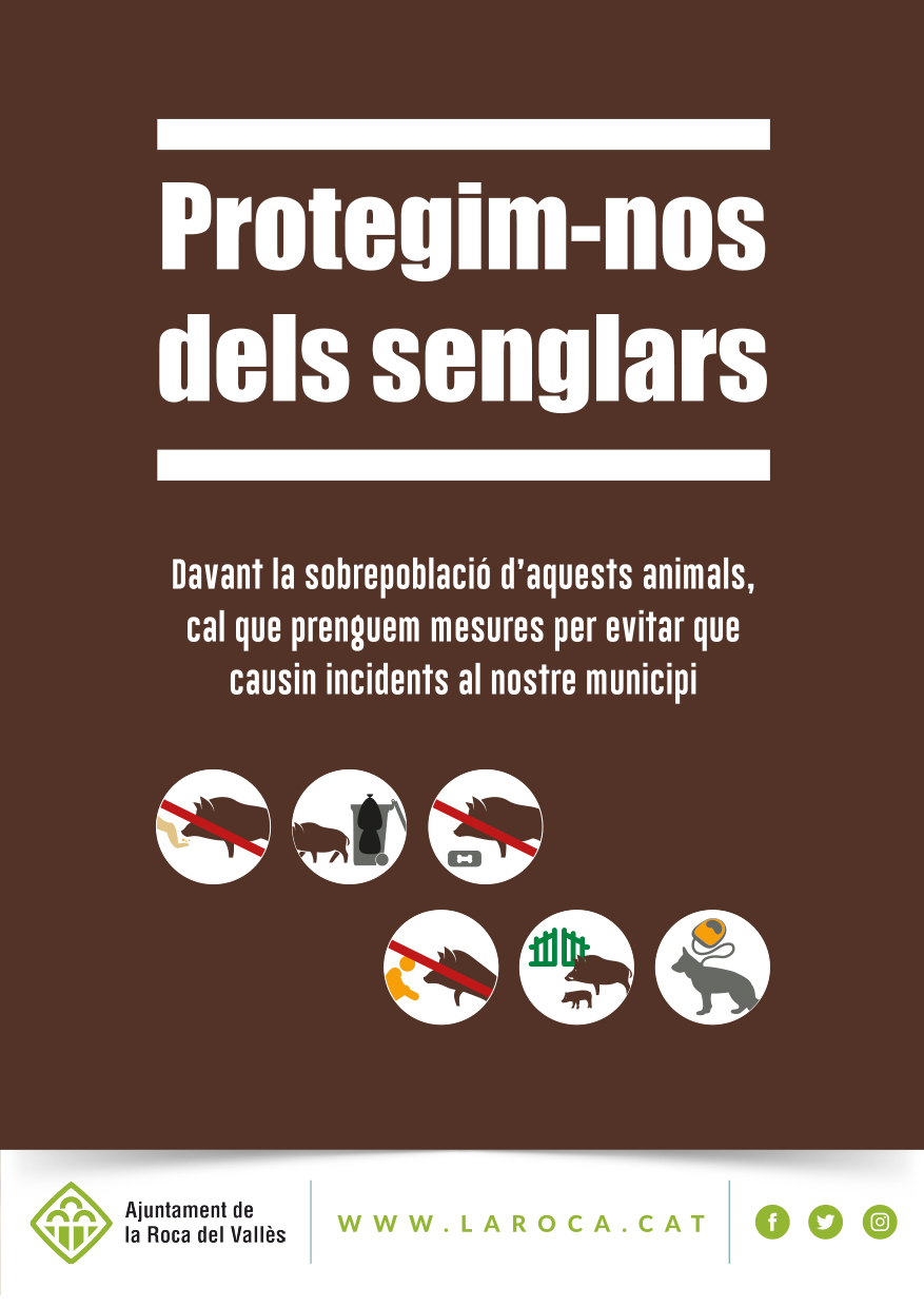 L'Ajuntament inicia una campanya informativa per alertar sobre la sobrepoblació de senglars