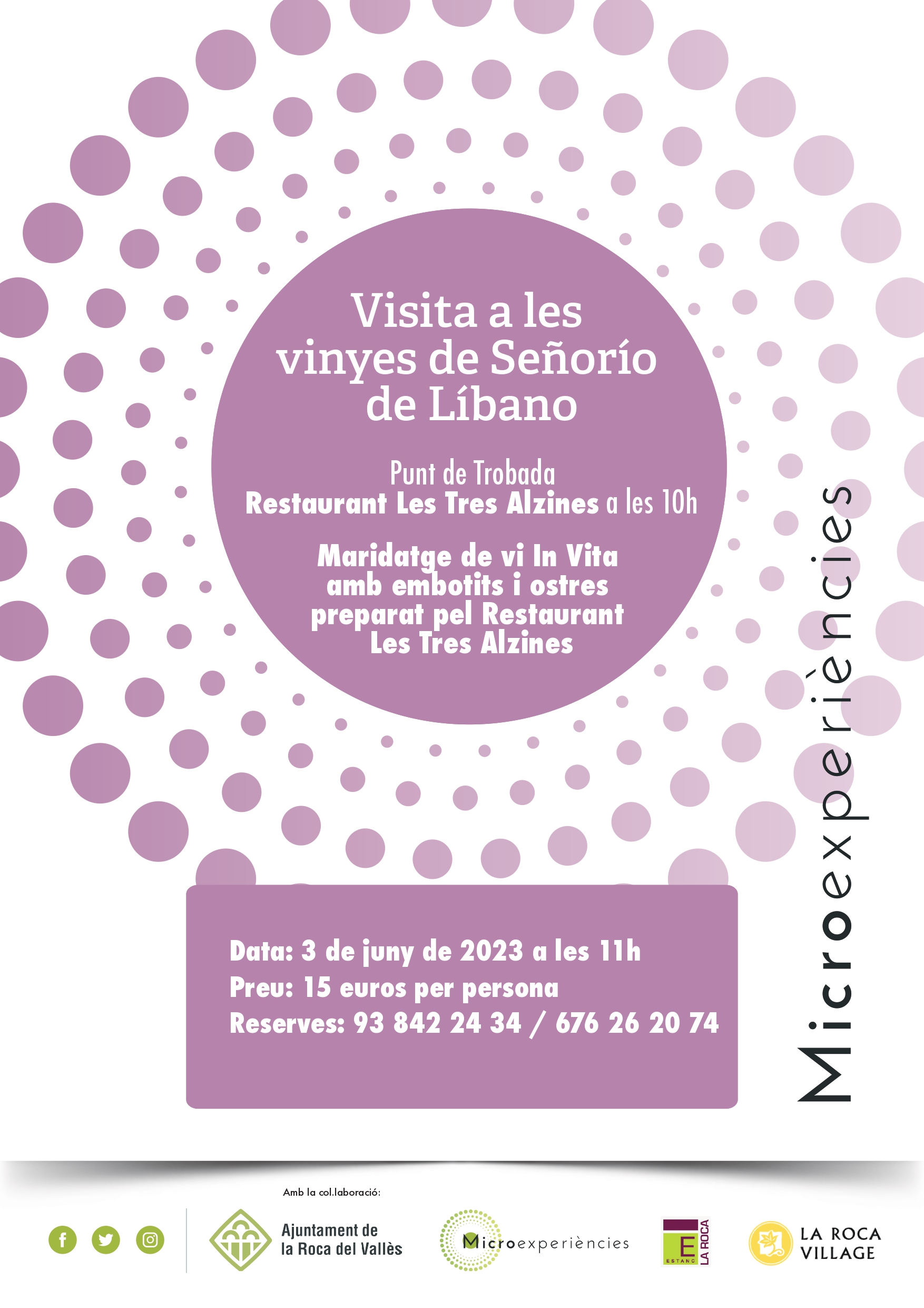 Microexperiències, visita  vinyes de Señorio de Líbano