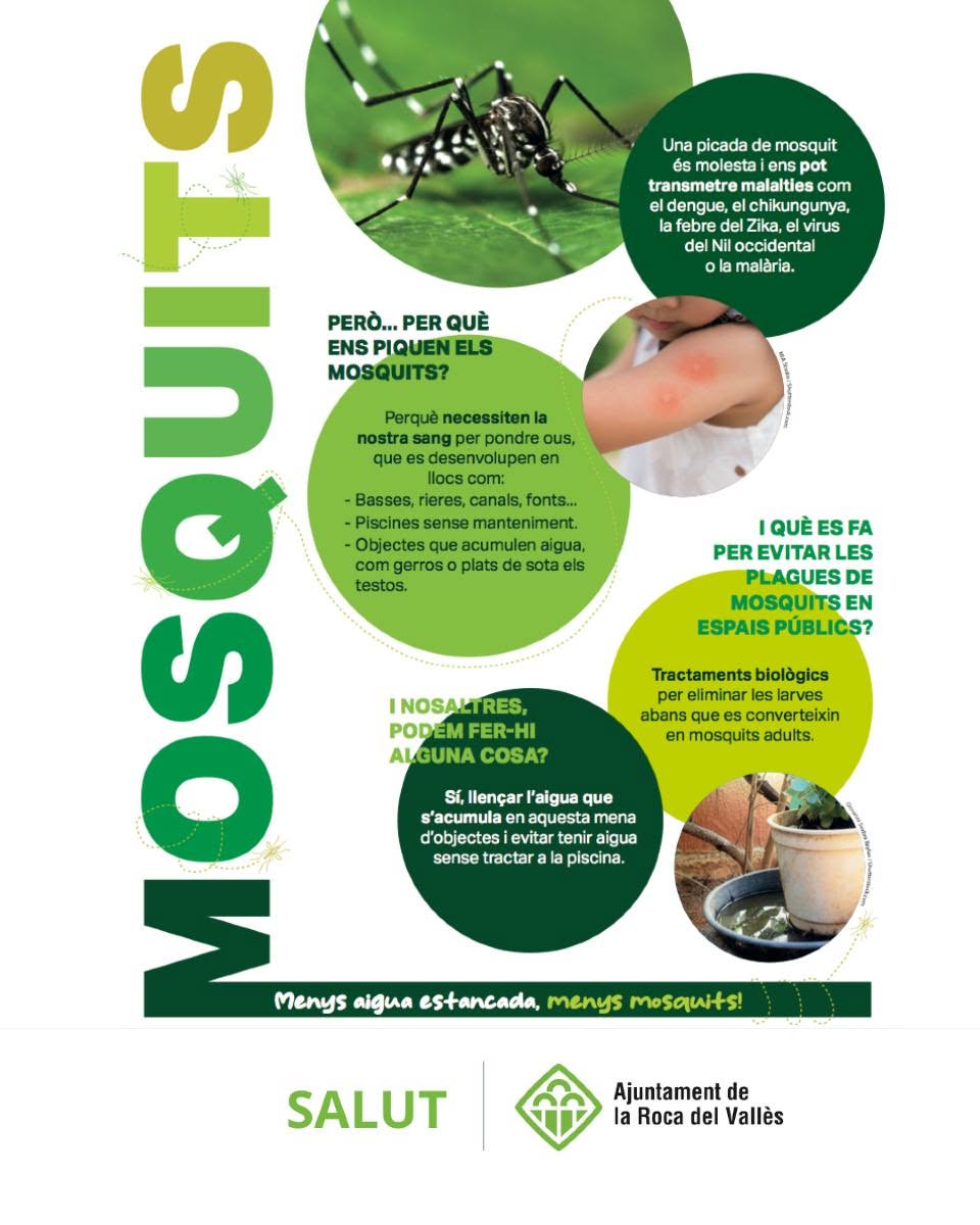 Menys aigua estancada, més prevenció aquest estiu per evitar la proliferació de mosquits